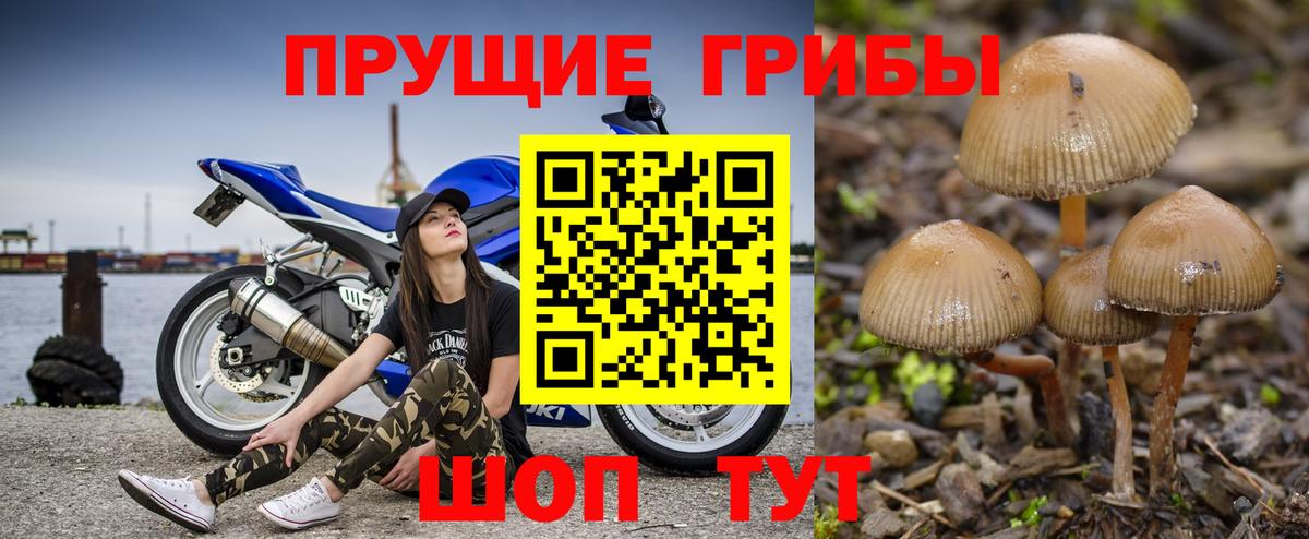 Псилоцибиновые грибы MAGIC MUSHROOMS  Вход с VPN  Волжск 