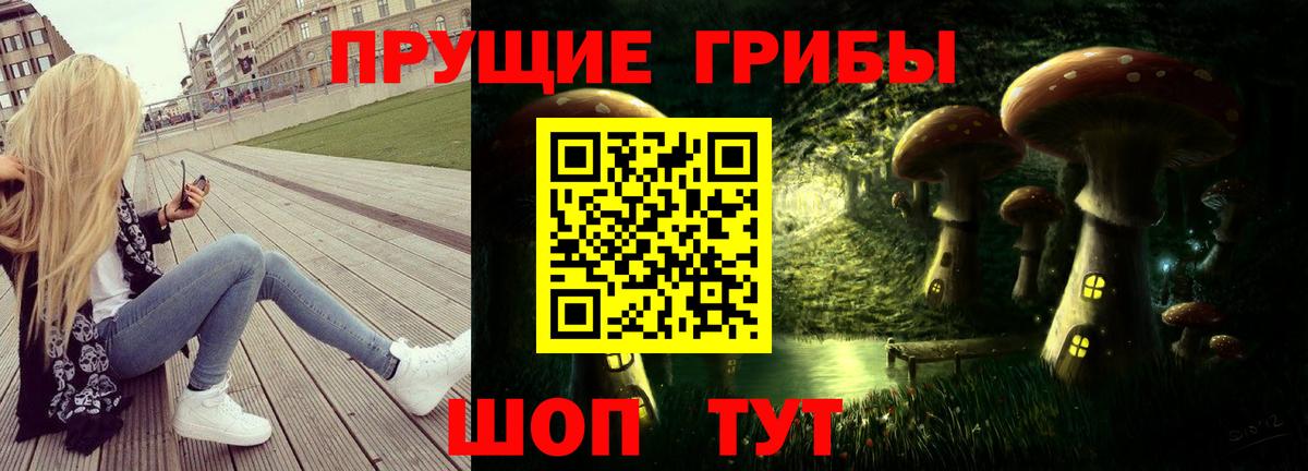 Псилоцибиновые грибы Psilocybine cubensis Волжск